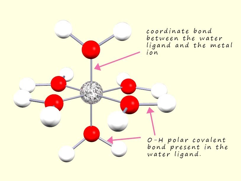 3d model of a metal complex to show the two types of bonds present, the coordinate bonds between the ligands and the metal and the bonds present within the ligands